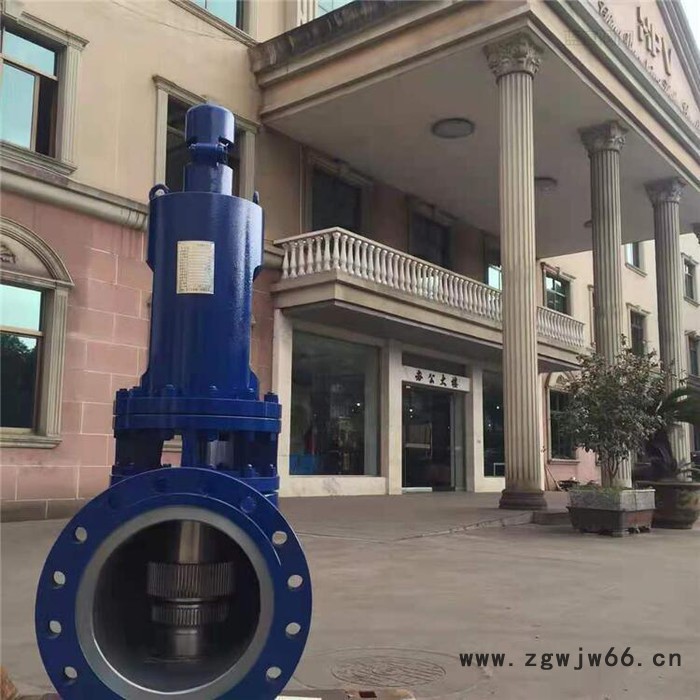 蓝宣供应 A41H弹簧微启封闭式安全阀图2