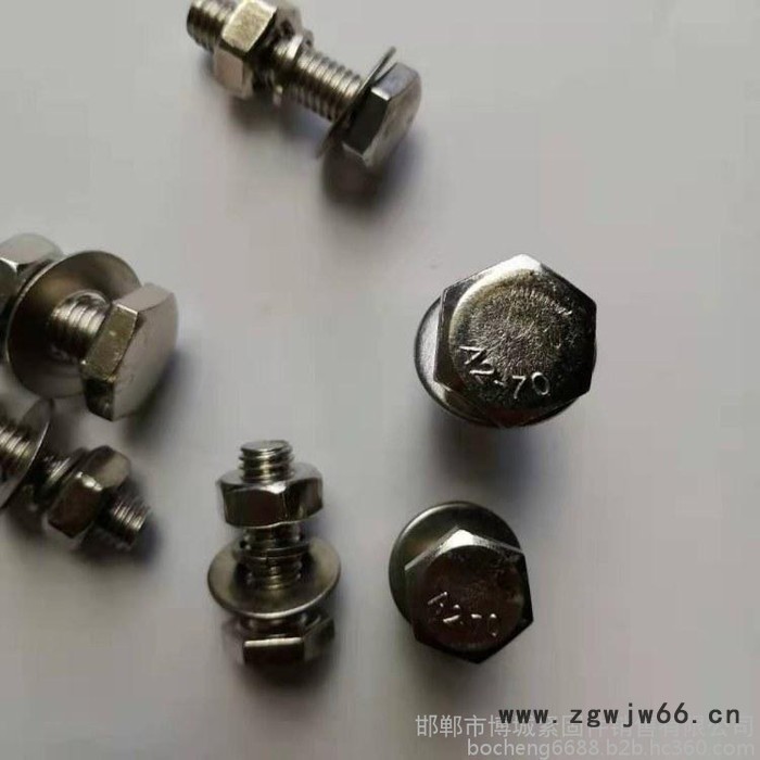 博城紧固件挂件螺栓 镀锌挂件螺栓 不锈钢挂件螺栓 螺栓图4