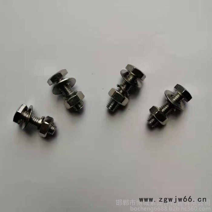 博城紧固件挂件螺栓 镀锌挂件螺栓 不锈钢挂件螺栓 螺栓图5