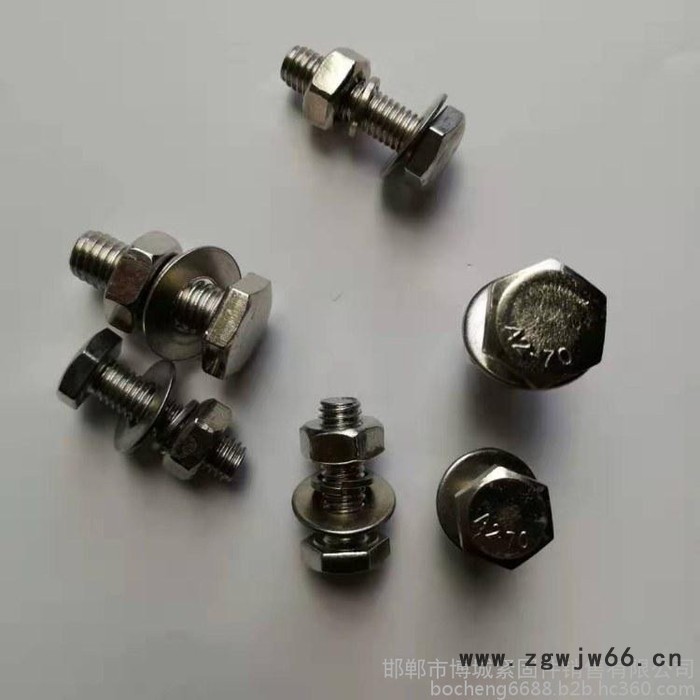 博城紧固件挂件螺栓 镀锌挂件螺栓 不锈钢挂件螺栓 螺栓图3