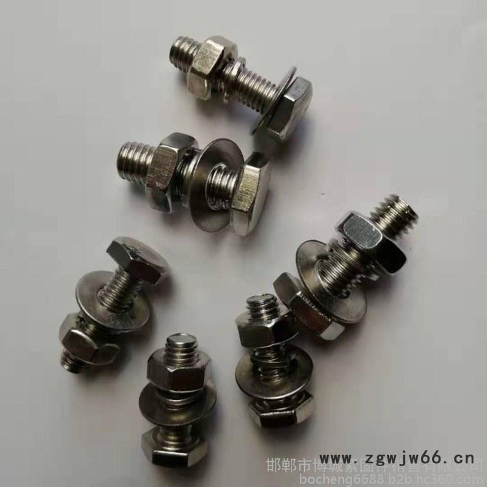 博城紧固件挂件螺栓 镀锌挂件螺栓 不锈钢挂件螺栓 螺栓图2