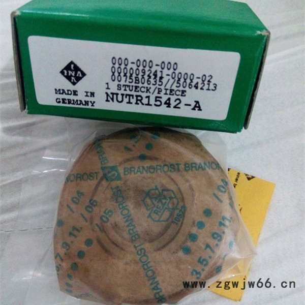 德国INA轴承SL185032-A INA轴承,INA双列圆柱滚子轴承,INA进口轴承,进口轴承,INA授权经销商图2