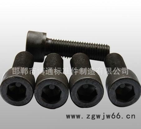 紧固件螺栓 GB5783-86内六角螺栓图3