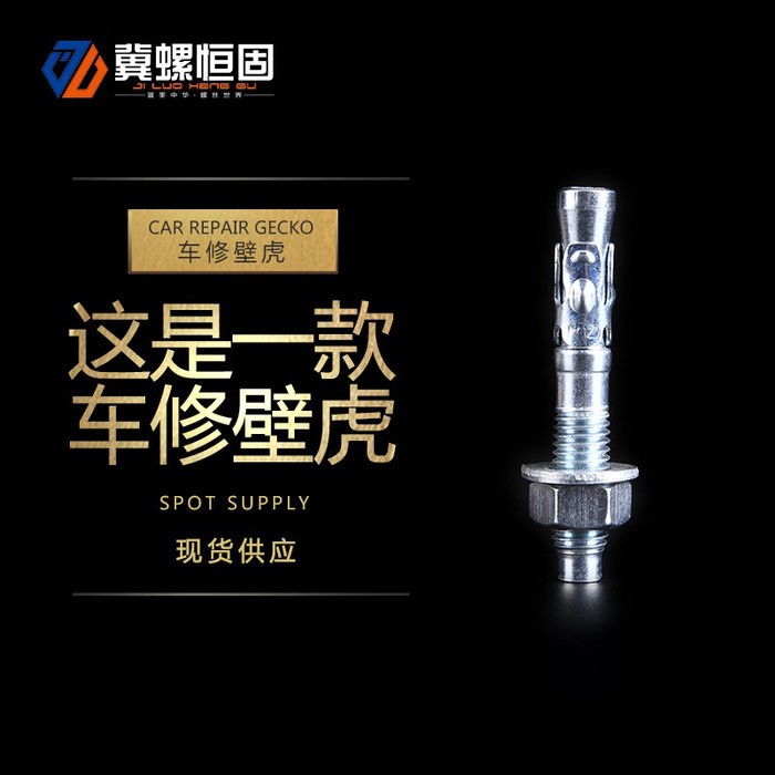 冀螺 镀彩膨胀螺丝 车修壁虎 膨胀螺栓 紧固件  价格实惠图3