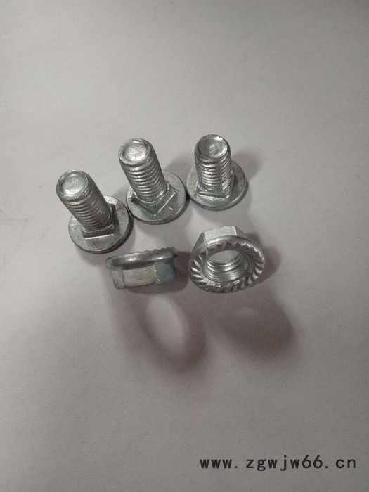 展宇紧固件8*16 马车螺栓  辽宁图2