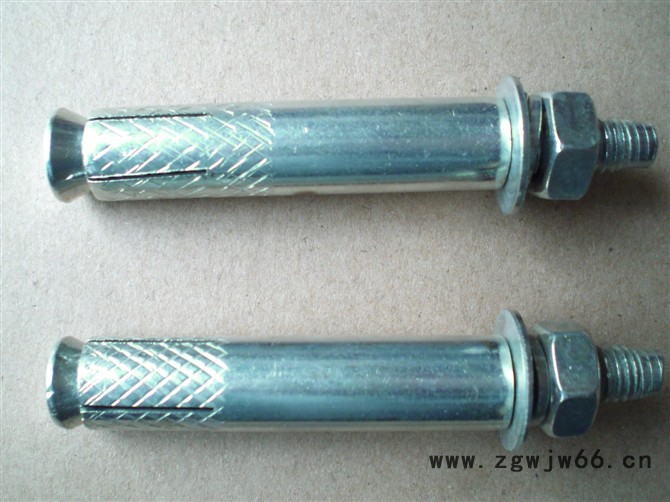 供应邯郸市栋兆紧固件有限公司10*100膨胀栓