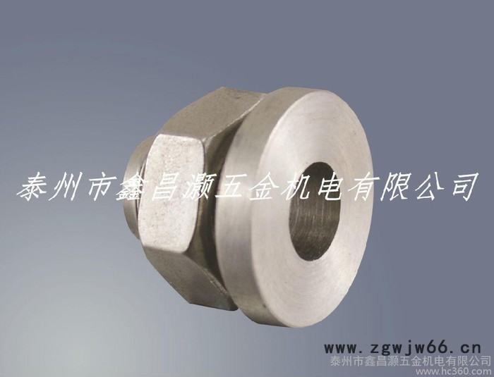 热电偶配件专用/直行连接头LWF1-G1/4*20*Φ6/紧固件图2