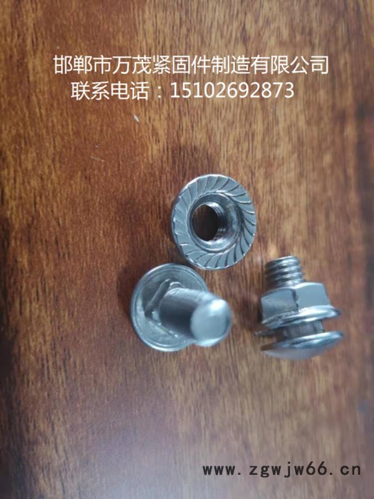 万茂紧固件8*12 桥架螺丝图2