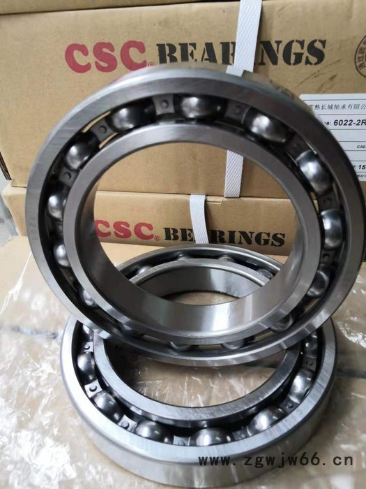 轴承 SCS 6022轴承