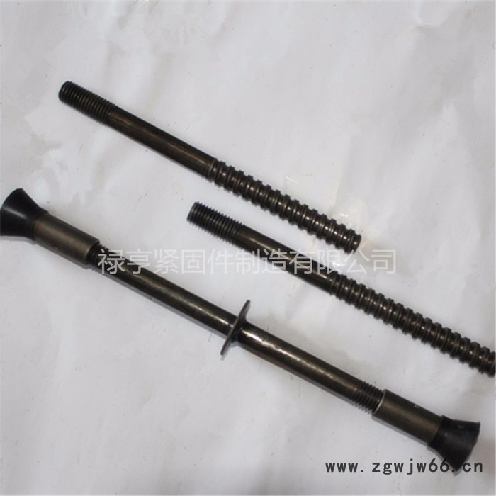 禄亨紧固件现货供应M16止水螺杆大量现货图2