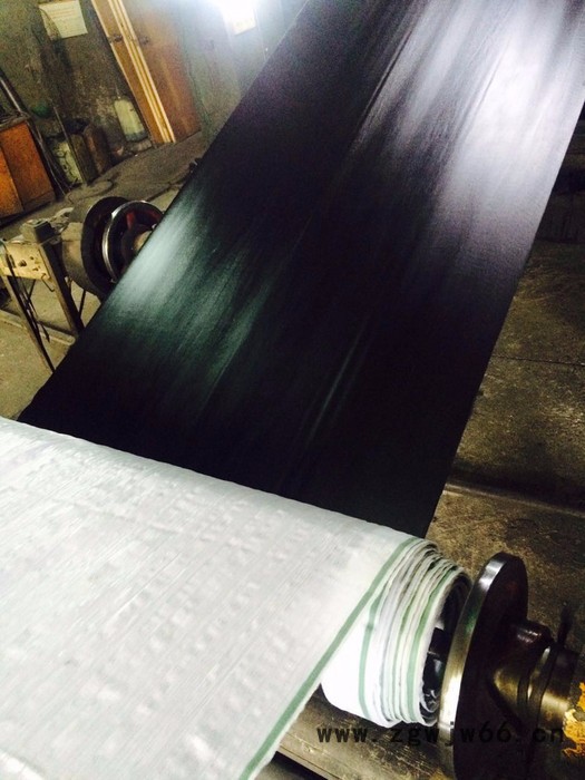 汽车空气弹簧帘子布 浸胶帘子布图4