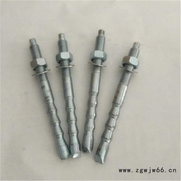 304不锈钢定型锚栓 卓迈紧固件图3