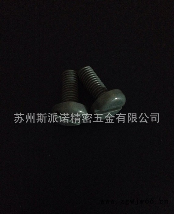 聚氯乙烯(PVC)一字盘头机螺钉 塑料紧固件图3