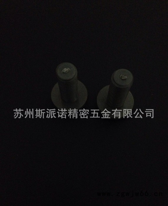 聚氯乙烯(PVC)一字盘头机螺钉 塑料紧固件