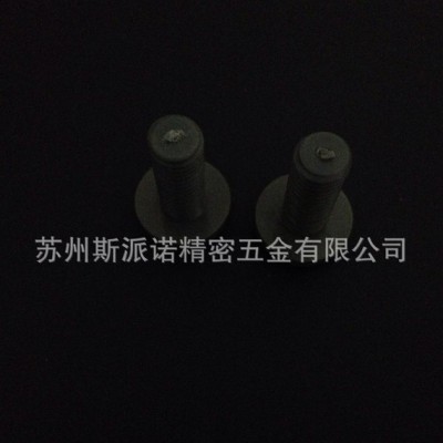 聚氯乙烯(PVC)一字盘头机螺钉 塑料紧固件