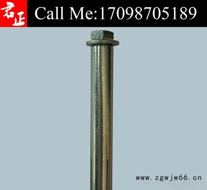 永年县紧固件厂家现货批发国标六角内膨胀螺丝m10*120图2