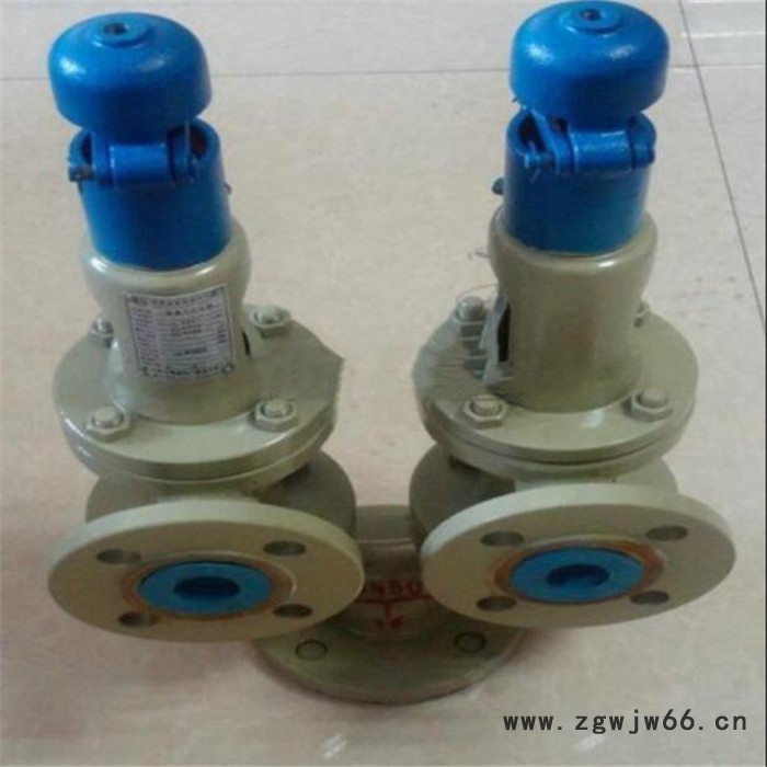 轩诚阀门批量定制 A37H双联弹簧式安全阀图3