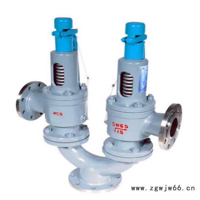 轩诚阀门批量定制 A37H双联弹簧式安全阀图6