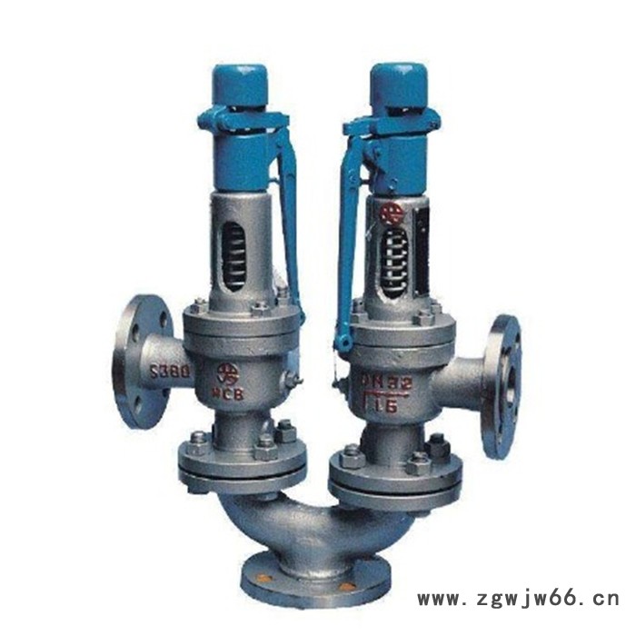 轩诚阀门批量定制 A37H双联弹簧式安全阀图5