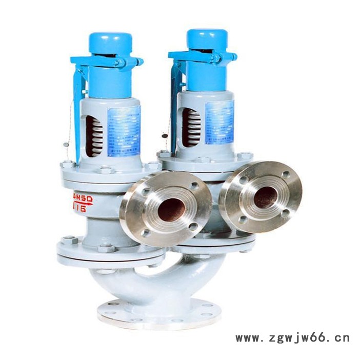 轩诚阀门批量定制 A37H双联弹簧式安全阀图2