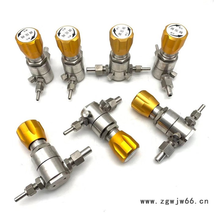 正安厂家供应 H71H-16C 弹簧止回阀图2