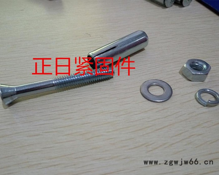 直销膨胀栓 膨胀螺栓规格镀锌膨胀螺丝 正日紧固件M8*70图3