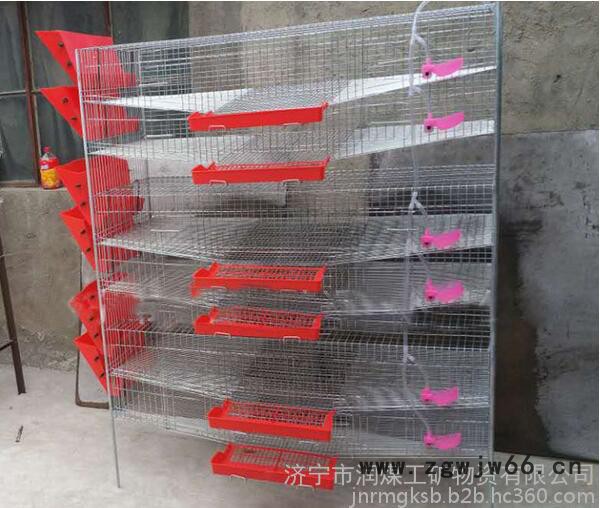 润煤rm12-15养殖设备批发立式弹簧门**自动集蛋笼 全套**笼子厂家现货图3