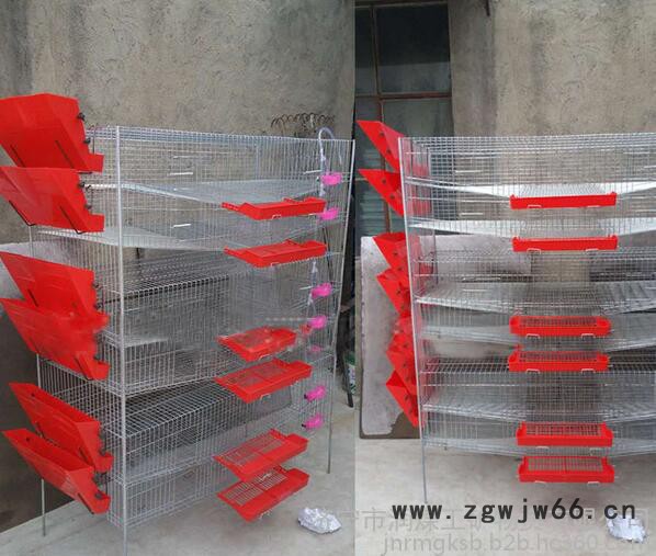 润煤rm12-15养殖设备批发立式弹簧门**自动集蛋笼 全套**笼子厂家现货图2