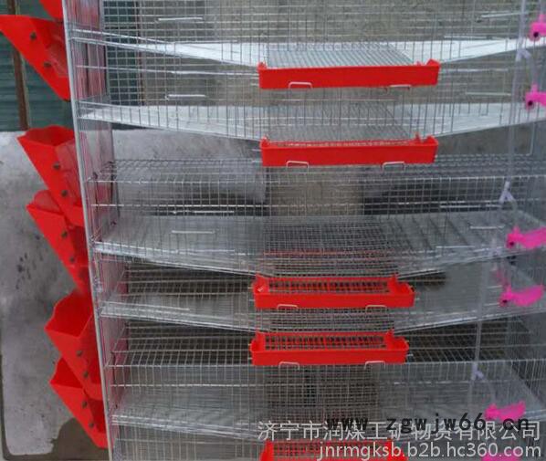 润煤rm12-15养殖设备批发立式弹簧门**自动集蛋笼 全套**笼子厂家现货图4