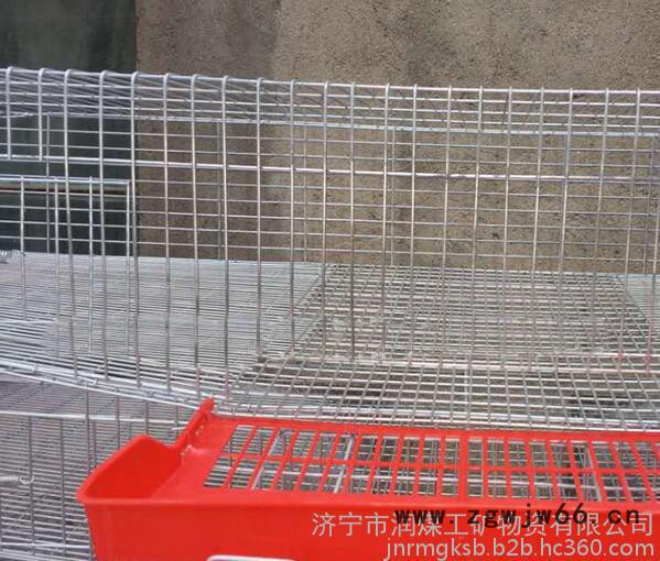 润煤rm12-15养殖设备批发立式弹簧门**自动集蛋笼 全套**笼子厂家现货图5