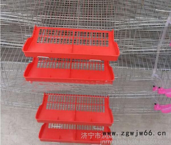 润煤rm12-15养殖设备批发立式弹簧门**自动集蛋笼 全套**笼子厂家现货图6