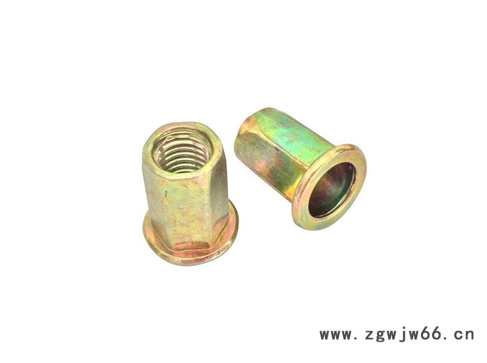 拉铆螺母M5 六角形其他紧固件/连接件图3