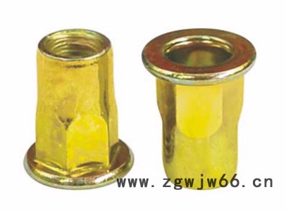 拉铆螺母M5 六角形其他紧固件/连接件