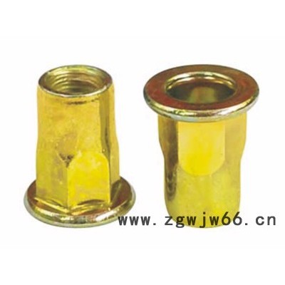 拉铆螺母M5 六角形其他紧固件/连接件