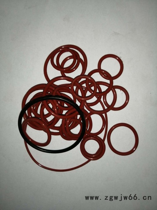 定制不锈钢组合骨架弹簧油封，蝶阀油封图7