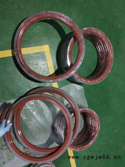 定制不锈钢组合骨架弹簧油封，蝶阀油封图2