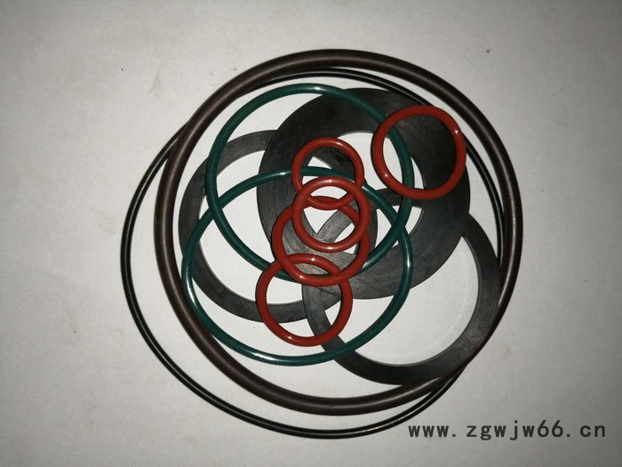 定制不锈钢组合骨架弹簧油封，蝶阀油封图3