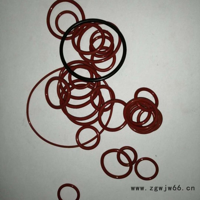 定制不锈钢组合骨架弹簧油封，蝶阀油封图5