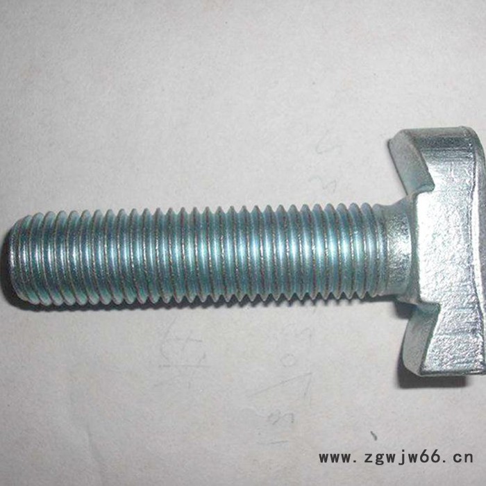 【兴安】T型螺栓 T型螺栓  固定件   紧固件哈芬槽T型栓，幕墙T型栓，T型螺栓厂家图4