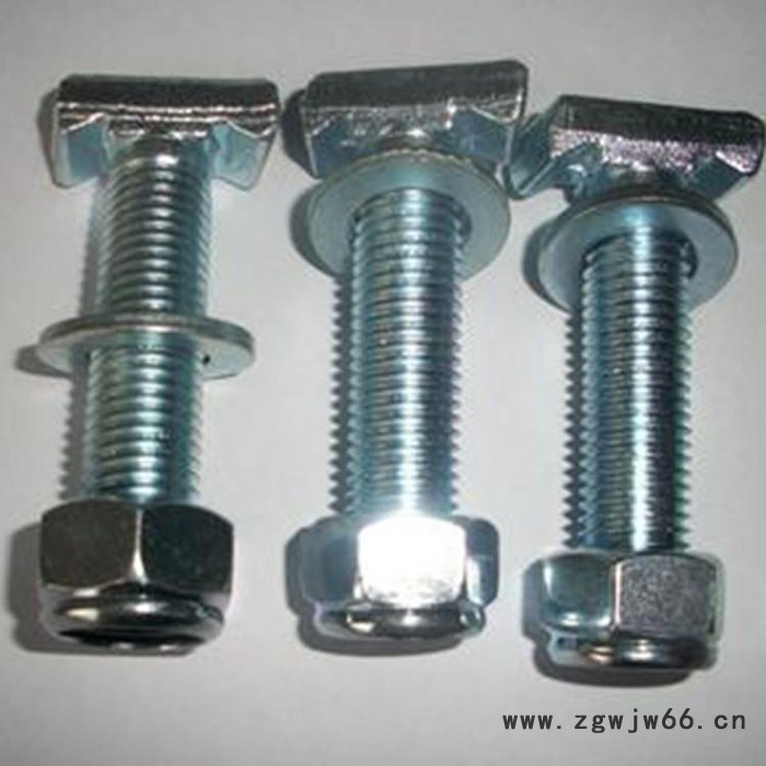 【兴安】T型螺栓 T型螺栓  固定件   紧固件哈芬槽T型栓，幕墙T型栓，T型螺栓厂家图3