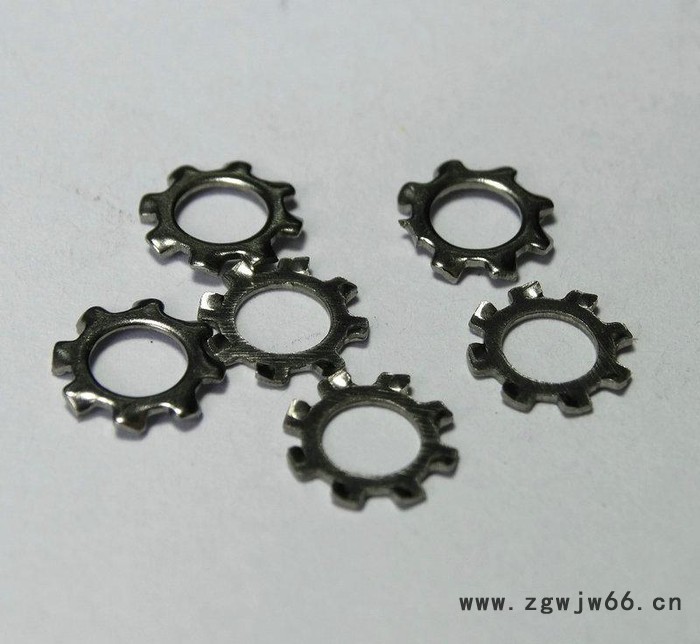 不锈钢外齿垫圈M5 高强度紧固件外齿锁紧垫圈 福建齿形垫圈图3