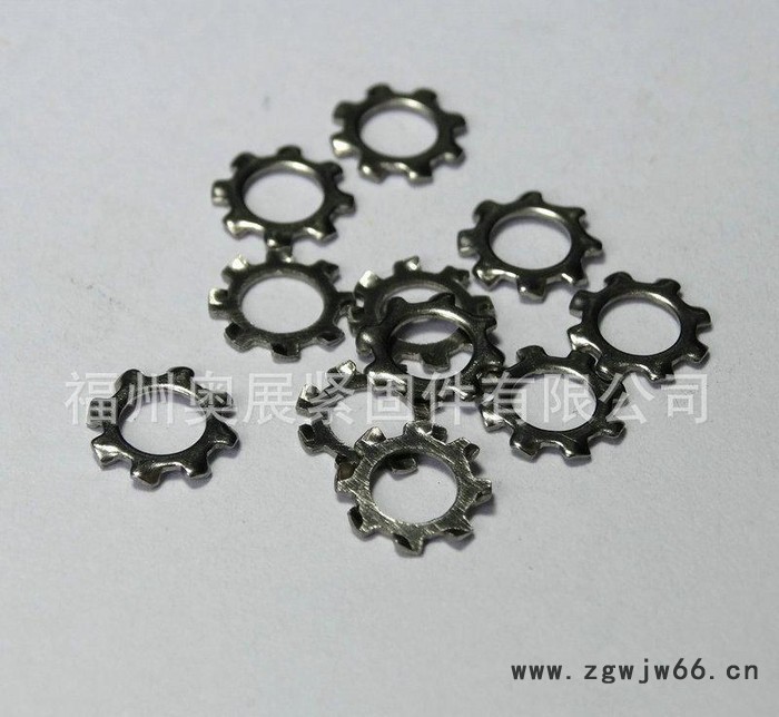 不锈钢外齿垫圈M5 高强度紧固件外齿锁紧垫圈 福建齿形垫圈图2