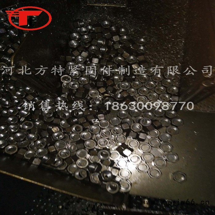 河北 邯郸永年方特 紧固件制造 厂家自产自销螺栓 螺母 平垫弹垫碳钢4.8级图3