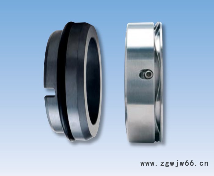 机械密封件 PC22 波形弹簧、销钉传动 O型圈式机械密封