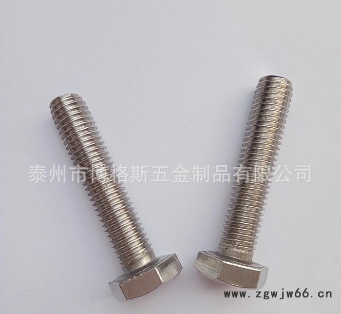 不锈钢外六角螺栓 304不锈钢六角螺栓六角头螺丝紧固件图2