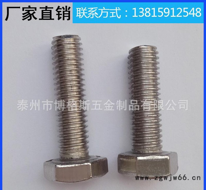 不锈钢外六角螺栓 304不锈钢六角螺栓六角头螺丝紧固件图3