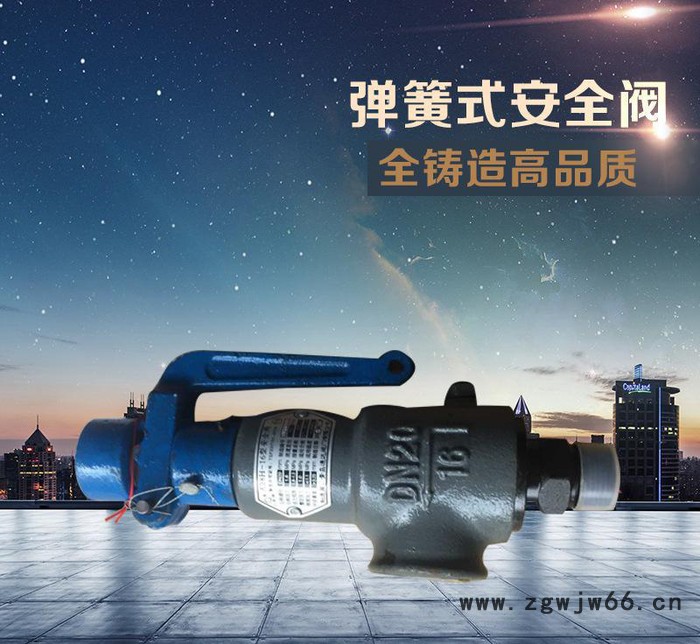 大量 弹簧式安全阀 螺纹铸铁安全阀 弹簧式安全阀图2