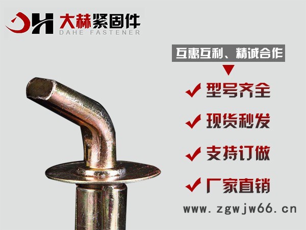 大赫直销镀彩膨胀钩 热水器专用膨胀螺栓挂钩 重型膨胀螺栓邯郸市大赫紧固件制造有限公司专业制造碳钢暖气膨胀托钩大量现货供应图4