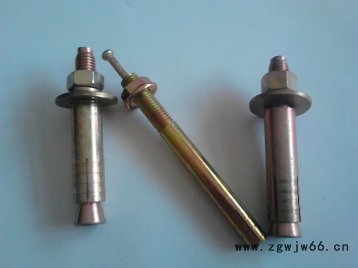 供应邯郸市栋兆紧固件有限公司10*120膨胀螺栓图2