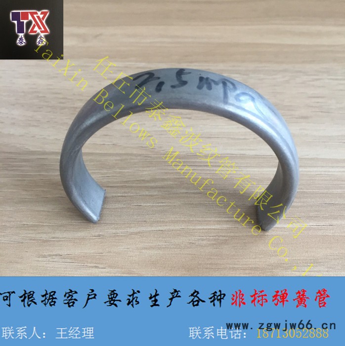 泰鑫  非标定制不锈钢弹簧管  YA100-2.5MPa图2